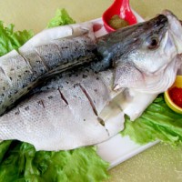 鳙魚檢測機(jī)構(gòu),鳙魚抗生素檢測報(bào)告,鳙魚微生物檢測