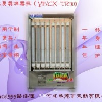 內置式臭氧消毒機管道空氣消毒機