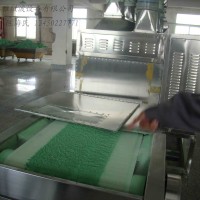 電池材料微波干燥設(shè)備