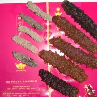 供應進口海參（朝鮮海參）