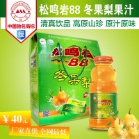 和政 松鳴巖88 冬果梨果汁 8X245ml