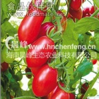 西西紅柿-朱麗葉2號