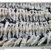 供應(yīng)魚丸、肉丸、蟹棒、魚糜制品用改性淀粉