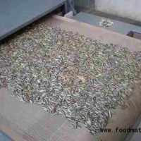 瓜子干燥熟化微波殺菌技術