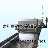 蔬菜清洗機 醬菜清洗機