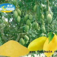 南派芒果粉（食品級芒果粉，正宗原漿粉）
