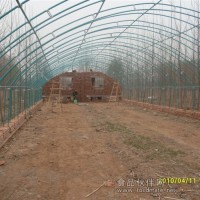 大棚骨架 大棚支架機 蔬菜大棚基地 鋼管鍍塑大棚安陽博利