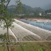 鋼塑腹膜無支柱溫室大棚骨架機