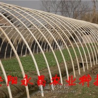 供應(yīng)新型不銹鋼溫室大棚骨架機
