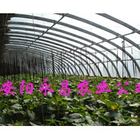 安陽永昌農業供應新型鍍塑溫室大棚骨架機