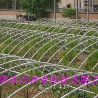供應永昌無支柱復合材料大棚骨架機