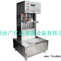 供應稱重式中包裝灌裝機
