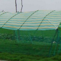 農田、果園、山林、灘涂生態養禽必備設備