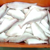 進口三去馬面魚