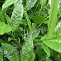 供應(yīng)速溶綠茶粉、紅茶粉