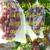 不一樣的葡萄袋