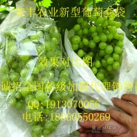 葡萄套袋價格