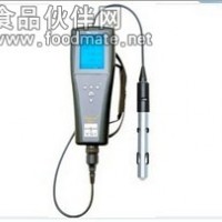 YSI Pro20型 溶解氧測量儀