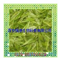 廠家供應綠茶提取物/茶多酚98%