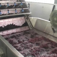 藍莓醬/汁加工生產線設備