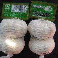 針對日本韓國保鮮大蒜,純白大蒜,普白大蒜