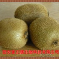 獼猴桃提取物 獼猴桃汁粉提取物