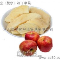 批發(fā)國豐凍干脫水休閑食品-FD蘋果