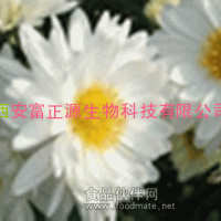 供應(yīng)野菊花提取物【西安】植物提取物廠家