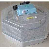 鴿子孵化機(jī)/鴨子孵化機(jī)/可顯示小型孵化機(jī)