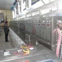大型微波隧道設(shè)備