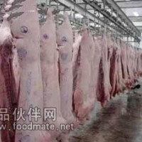 林芝藏香豬批發
