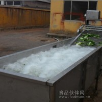 德興專業(yè)制造不銹鋼蔬菜氣泡翻浪清洗機(jī)