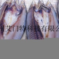鮑魚冷風干燥機，鮑魚低溫干燥機，淡干鮑魚干燥機