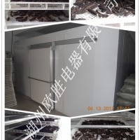 海參干燥機，海參干燥設備，海參自動干燥機