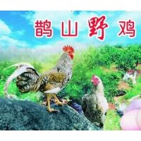 本地土雞蛋