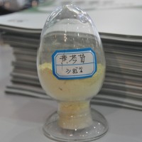 黃芩提取物