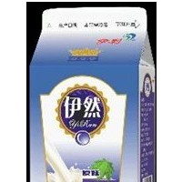 乳酸菌飲品 酸奶