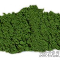 供應(yīng)菠菜粉 蔬菜粉 食品輔料