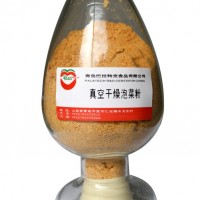 調味料 泡菜粉