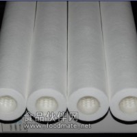 保安過濾器濾芯 保安過濾器濾芯廠家