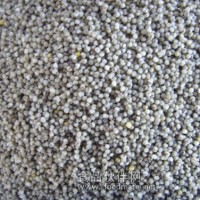 黑小米黑小米種植黑小米價格