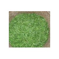 現貨供應綠茶提取物