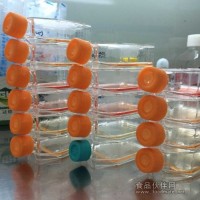 L6565小鼠病克隆細胞系