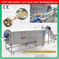 鳳翔 大型螺旋清洗土豆去皮機 蘿卜清洗去皮機