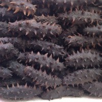 海鮮冰鮮海產品超低價高檔禮盒批發供應