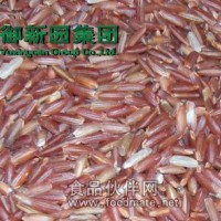 精細加工 健康雜糧 糙米