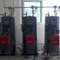 50公斤燃氣蒸汽發生器