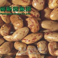 蕓蕓眾生 只選精品 蕓豆