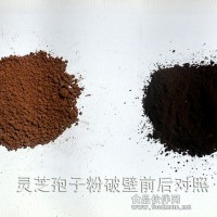 細胞破壁和粉碎