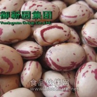 神豆貢品 美味營養(yǎng) 花豆